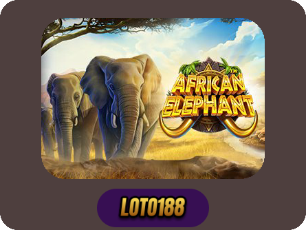 African Elephant
